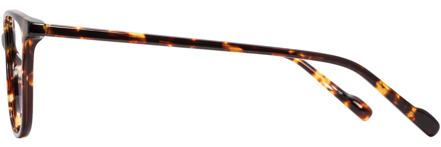 Scott Harris SH968 Eyeglasses - view 11